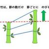 失敗は人を成長させる