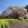 毎年恒例のうなぎツアー