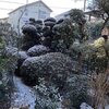 初雪やうっすらおしゃれ高尾山