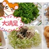 みんな大好きイカリングフライ！