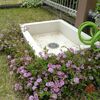 立水栓のまわり
