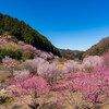 小川町の桃源郷