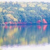 気高さと美しさ。白駒池の紅葉と霧。