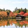 今が見頃の紅葉スポット！昭和記念公園「日本庭園」｜2024年見頃の時期、状況、黄葉・紅葉まつりとライトアップの情報、チケット、池泉回遊式庭園、場所、入口、犬、見どころ、料金、最寄り駅、写真（東京都立川市）