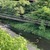 7月14日(月)秩父フライフィールドの河川情報