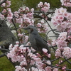 水月公園