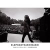 「elephants」Instagramアカウントを開設