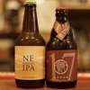 NE RESOLUTION IPA