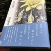 新詩集『夏の花』が刊行されました