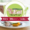 Go To Eat プレミアム食事券、キャッシュレス決済優先順位