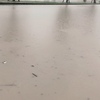 大雨特別警報の日に出勤してみて思うこと