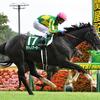 競馬初心者必見☆馬券予想🔥〜関屋記念〜反則レベルの斤量で3歳牝馬が快勝する！？〜