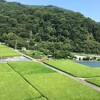 【神奈川⇆静岡 】自転車で走る 御殿場ルートの魅力を紹介。「山・川・森の景色が良くて」おすすめです