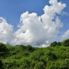 山梨県某所　採集旅行三日目