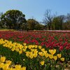農村の生活に見習う