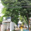 神楽坂　赤城神社