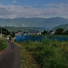 - NOZAWA TRAIL FES 2020 - 完結編