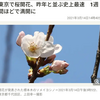 2021年東京の桜開花、今年も平年より早め