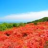 德仙丈山登山｜日本最大級のツツジが見られる花の名山！気仙沼側登山口から登ってみた