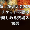 大洗海上花火大会2025年版｜チケット不要の無料で楽しめる穴場スポット10選