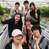 完熟いちご🍓狩り情報5月20日(月)休園日です‼️