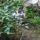 てとらブログ