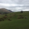 ヨーロッパ編　UK（9）　Keswick　Stone circle, Derwentwater付近の散歩情報。