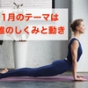 11月のテーマは「脊椎のしくみと動き」