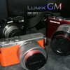 カメラは増殖する！？その２（Panasonic Lumix DMC-GM1K）８ヶ月ぶり３度目