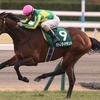 【凱旋門賞】サトノダイヤモンド状態上がった