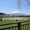 花の都公園