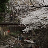 飛鳥山公園＆音無川親水公園