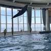 【茨城県】子どもも、大人も楽しめる！お出かけスポット5選