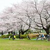 自然いっぱいな近所の公園！足立区・元淵江公園でお花見してきました