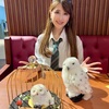 ハリーポッタースタジオツアーのフードメニュー