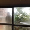 とらわれて。