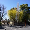 2025/02/23 府中公園