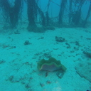 ばんたかたんもう一杯！