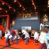 横浜CATS　ラストスパート公演