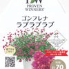ギリギリ間に合った PWコンフレナ ラブラブラブ
