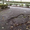 台風通過