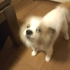平和が戻ってきました