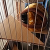 ちょっとした変化