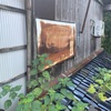 変化が怖い