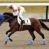 【一口馬主日記】リオンエトワール編！