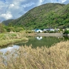 小茂田濱神社横の池（仮称）（長崎県対馬）