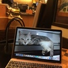 Macbookでスタバでドヤ。