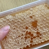 ミツバチが作った自然の恵み！「巣蜜」が想像以上に濃厚でねっちり♪（PR）