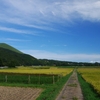 伊豆高原に初秋を探して