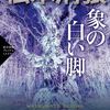 【書評】『象の白い足』松本清張